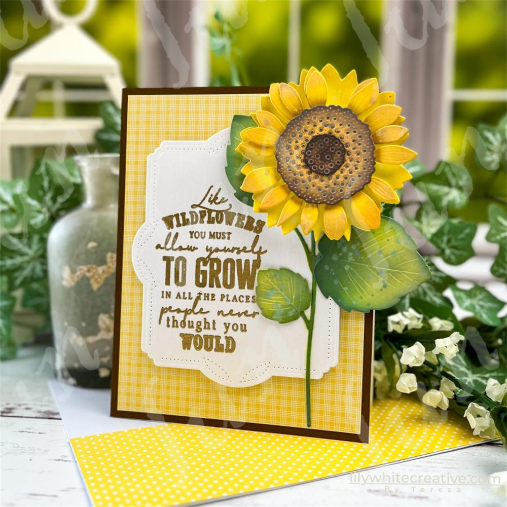 Sellos transparentes con estam - Candle Sachet reseña y precio